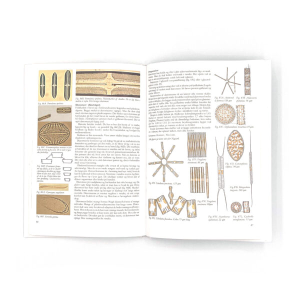 Mikroskopi i biologi, bog - Image 2